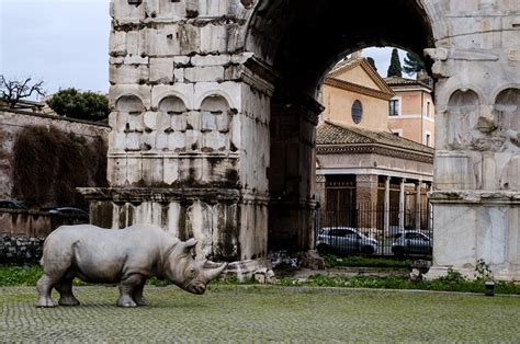 Rhinoceros, Rome 